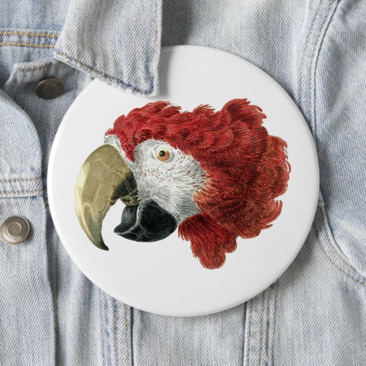 Leiter eines Ara (1725-1792) Aert Schouman Button (Beispiel)