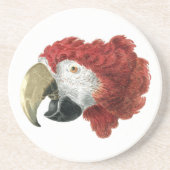 Leiter eines Ara (1725-1792) Aert Schouman Getränkeuntersetzer (Vorne)