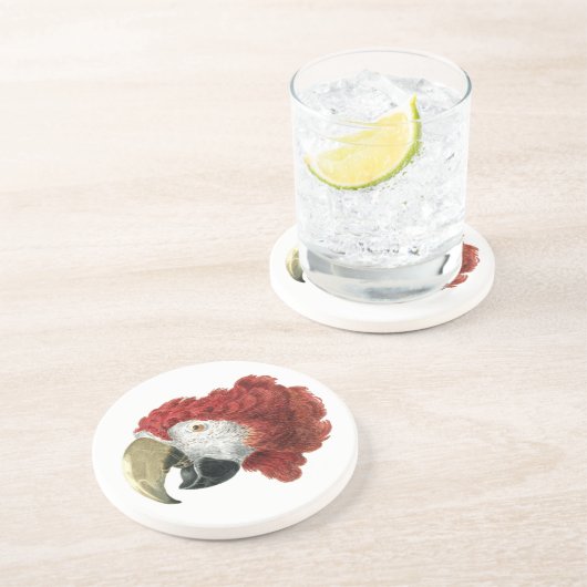 Leiter eines Ara (1725-1792) Aert Schouman Getränkeuntersetzer (Seite)