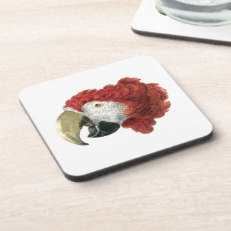 Leiter eines Ara (1725-1792) Aert Schouman Getränkeuntersetzer