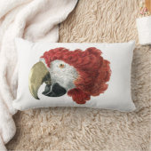 Leiter eines Ara (1725-1792) Aert Schouman Lendenkissen (Decke)