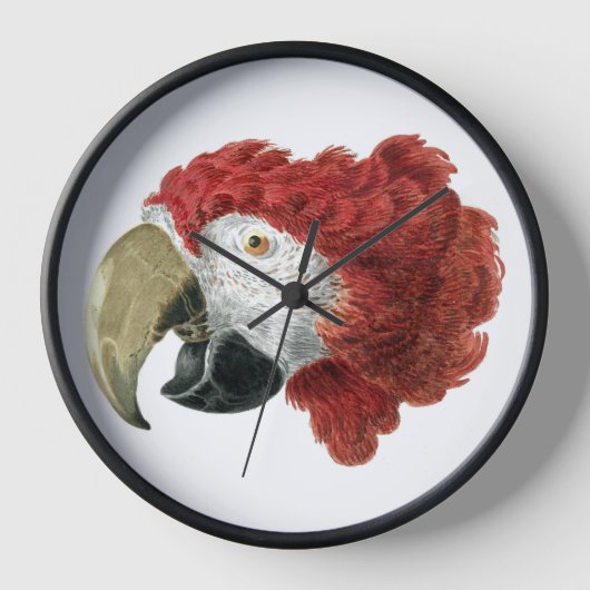 Leiter eines Ara (1725-1792) Aert Schouman Uhr (Vorderseite)