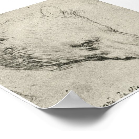 Leiter eines Bären, Leonardo Da Vinci Poster (Ecke)