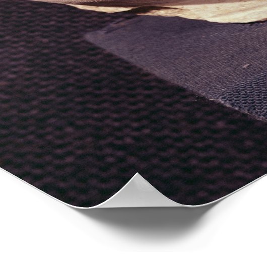 Leiter eines Buddha im griechisch-buddhistischen S Poster (Ecke)