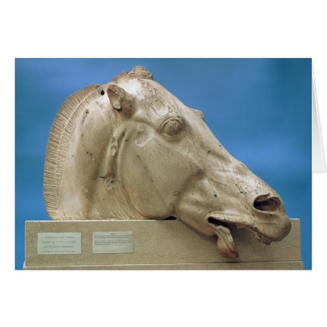 Leiter eines der Pferde von Selene (Vorderseite (Horizontal))