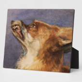 Leiter eines Fuchs Fotoplatte (Seite)