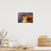 Leiter eines Fuchs Poster (Küche)