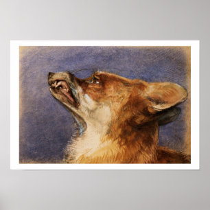 Leiter eines Fuchs Poster