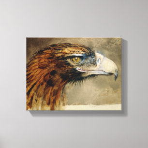 Leiter eines Golden Eagle (von John Ruskin) Leinwanddruck