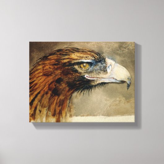 Leiter eines Golden Eagle (von John Ruskin) Leinwanddruck (Vorderseite)