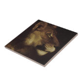 Leiter eines Löwen (Wildtier) Fliese (Seite)