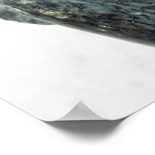 Leiter eines Mannes Poster (Ecke)