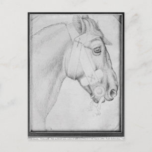 Leiter eines Pferdes, aus dem Vallardi Album Postkarte