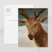 Leiter eines Stags, 1634 Postkarte (Vorne/Hinten)