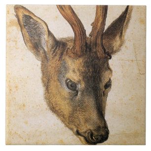 Leiter eines Stags (Wild Animal) (von Albrecht Dur Fliese