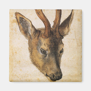 Leiter eines Stags (Wild Animal) (von Albrecht Dur Magnet