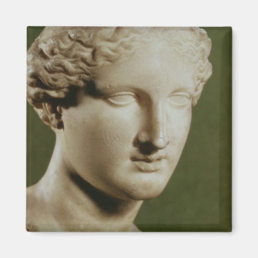 Leiter von Artemis Magnet (Vorne)