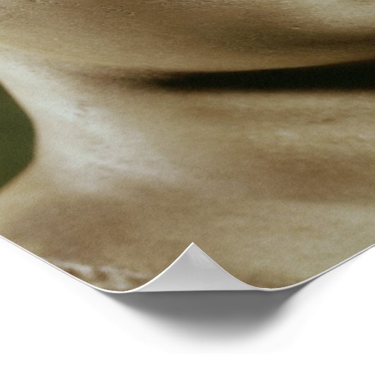 Leiter von Artemis Poster (Ecke)