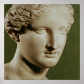 Leiter von Artemis Poster (Vorne)