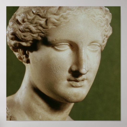 Leiter von Artemis Poster (Vorne)