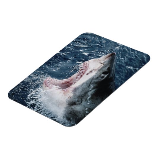 Leiter von Great White Shark Magnet (Linke Seite)
