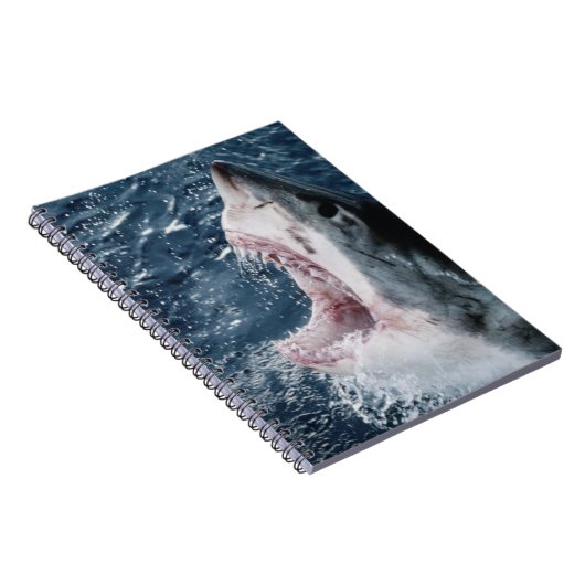 Leiter von Great White Shark Notizblock (Rechte Seite)