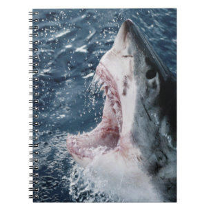 Leiter von Great White Shark Notizblock