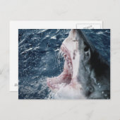 Leiter von Great White Shark Postkarte (Vorne/Hinten)