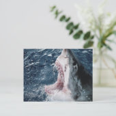 Leiter von Great White Shark Postkarte (Stehend Vorderseite)