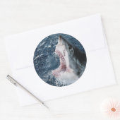 Leiter von Great White Shark Runder Aufkleber (Umschlag)