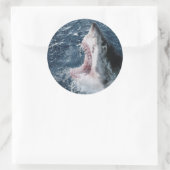 Leiter von Great White Shark Runder Aufkleber (Tasche)