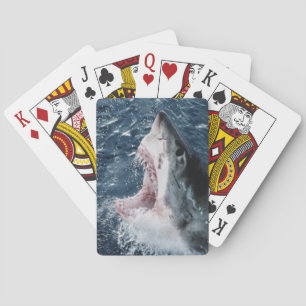 Leiter von Great White Shark Spielkarten