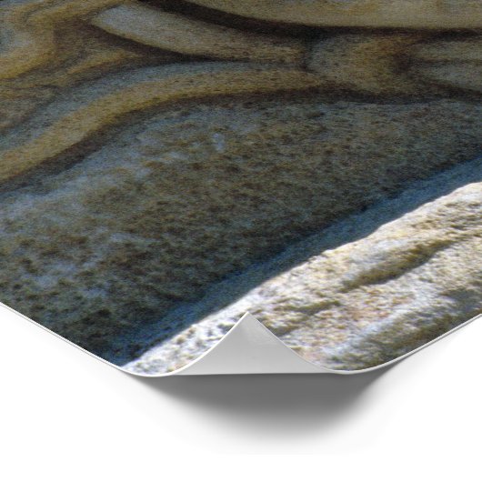 Leiter von Medusa Poster (Ecke)