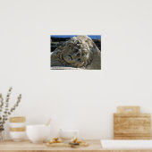 Leiter von Medusa Poster (Küche)