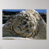 Leiter von Medusa Poster (Vorne)