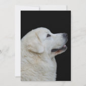 Leiterin der Atemberaubenden Polnischen Tatra Shee Dankeskarte (Vorderseite)