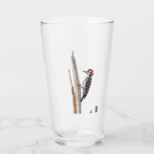 Leiternacken-Specht Glas