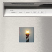 Leitleuchte Magnet (In Situ (Geschirrspüler))