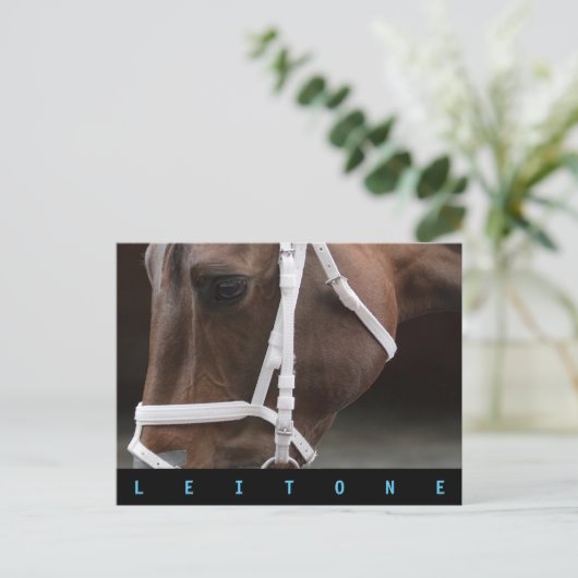 Leitone Postkarte (Stehend Vorderseite)