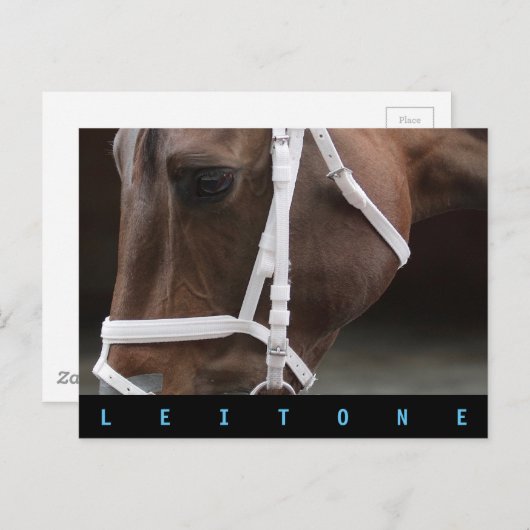 Leitone Postkarte (Vorne/Hinten)