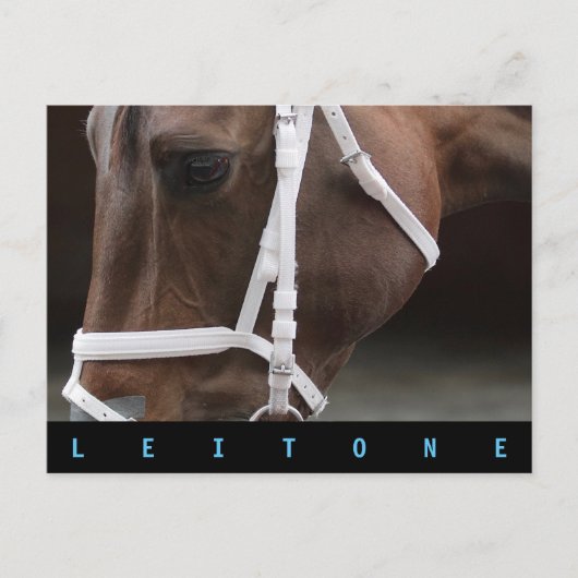 Leitone Postkarte (Vorderseite)