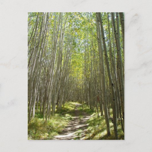 Leitpersonalaspekt Postkarte (Vorderseite)