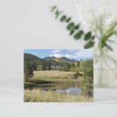 Leitstaff Locket Meadow Postkarte (Stehend Vorderseite)