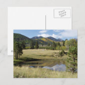 Leitstaff Locket Meadow Postkarte (Vorne/Hinten)