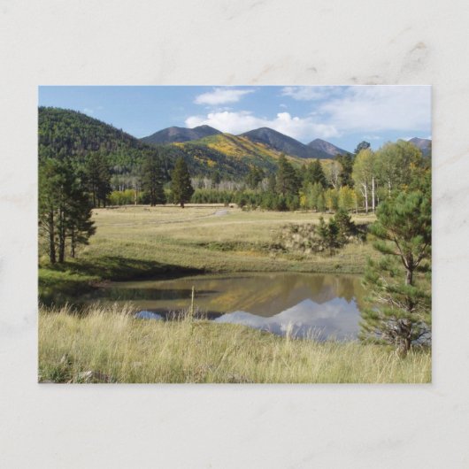 Leitstaff Locket Meadow Postkarte (Vorderseite)
