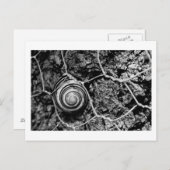 Leitungsgeschwindigkeit Postkarte (Vorne/Hinten)