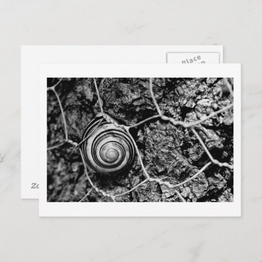 Leitungsgeschwindigkeit Postkarte (Vorne/Hinten)