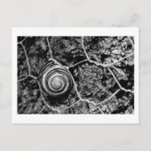 Leitungsgeschwindigkeit Postkarte (Vorderseite)