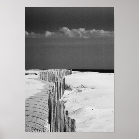 Leitzaun Poster (Vorne)