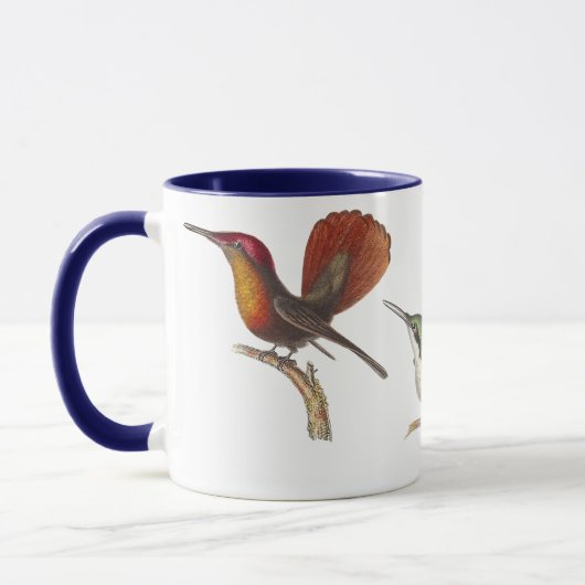 Lektion drei unterschiedliche Kolibri-Rene Tasse (Links)